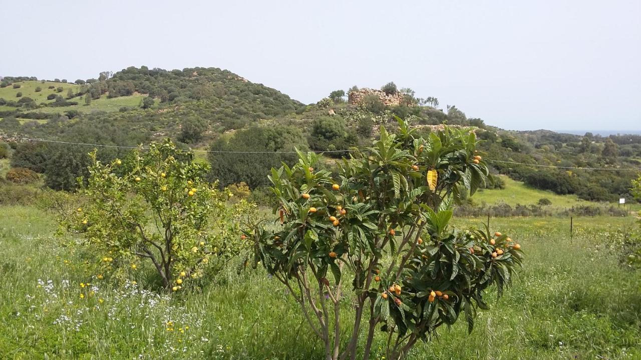 La Casetta Rosa Tertenia Exterior photo