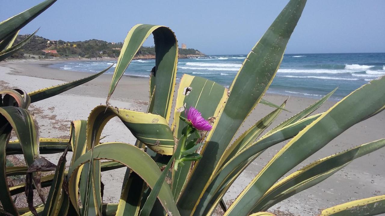 La Casetta Rosa Tertenia Exterior photo